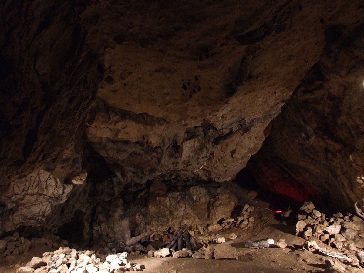 Jaskinia Wierzchowska Górna – kręte korytarze i nietoperze 1