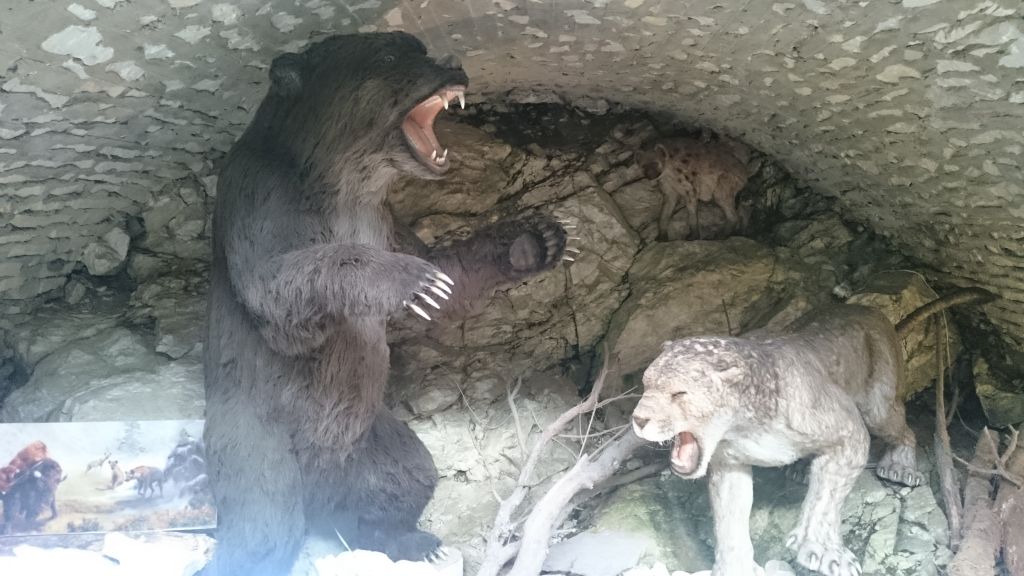 Jaskinia Niedźwiedzia w Kletnie 1