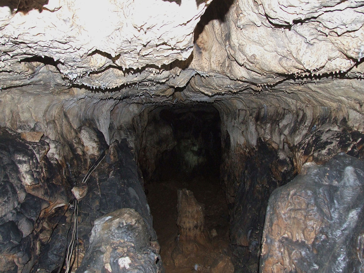 Jaskinia Wierzchowska Górna – kręte korytarze i nietoperze 2