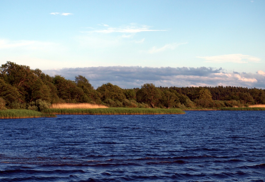 Jezioro Łebsko 1